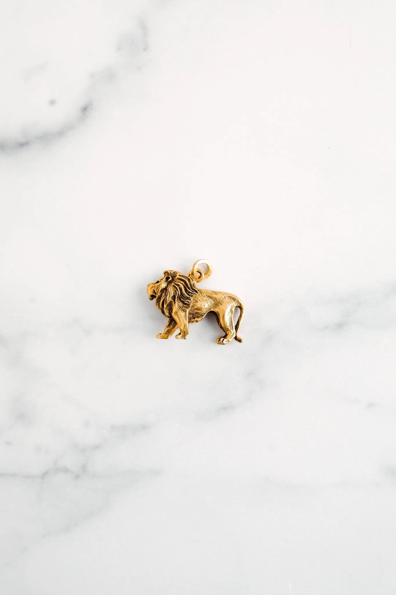 Golden Lion Charm