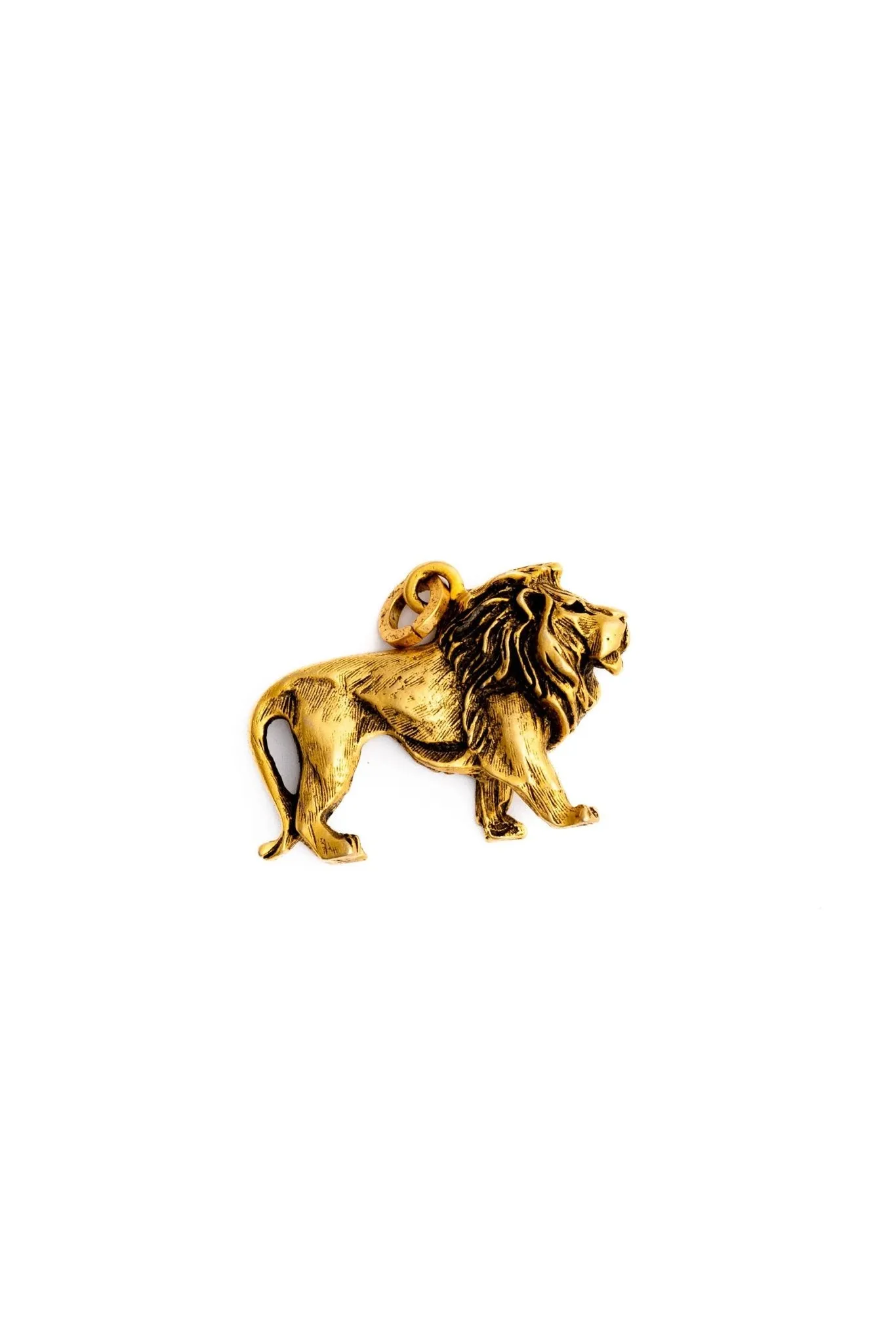 Golden Lion Charm