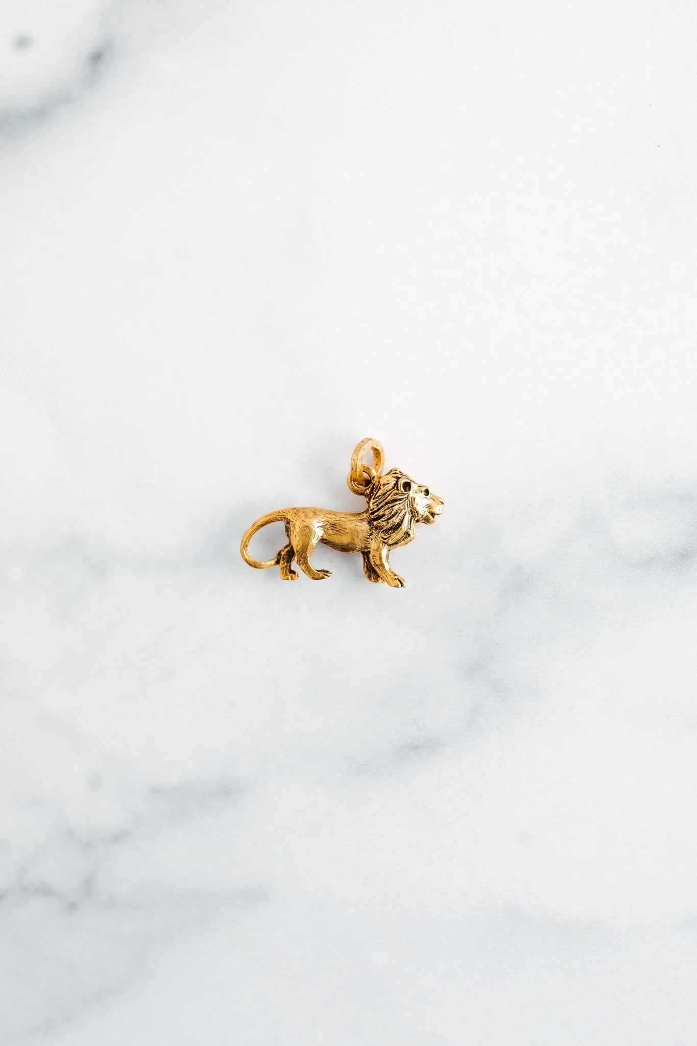 Golden Lion Charm